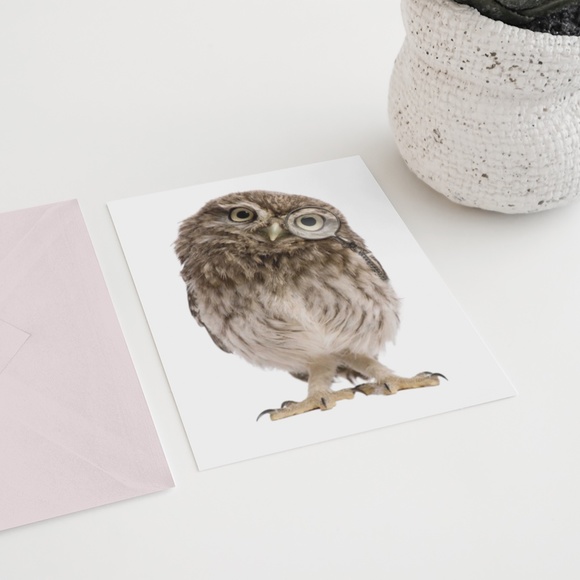 Owl Portrait Wall Art Print Poster Unframed - Picture 8 of 9